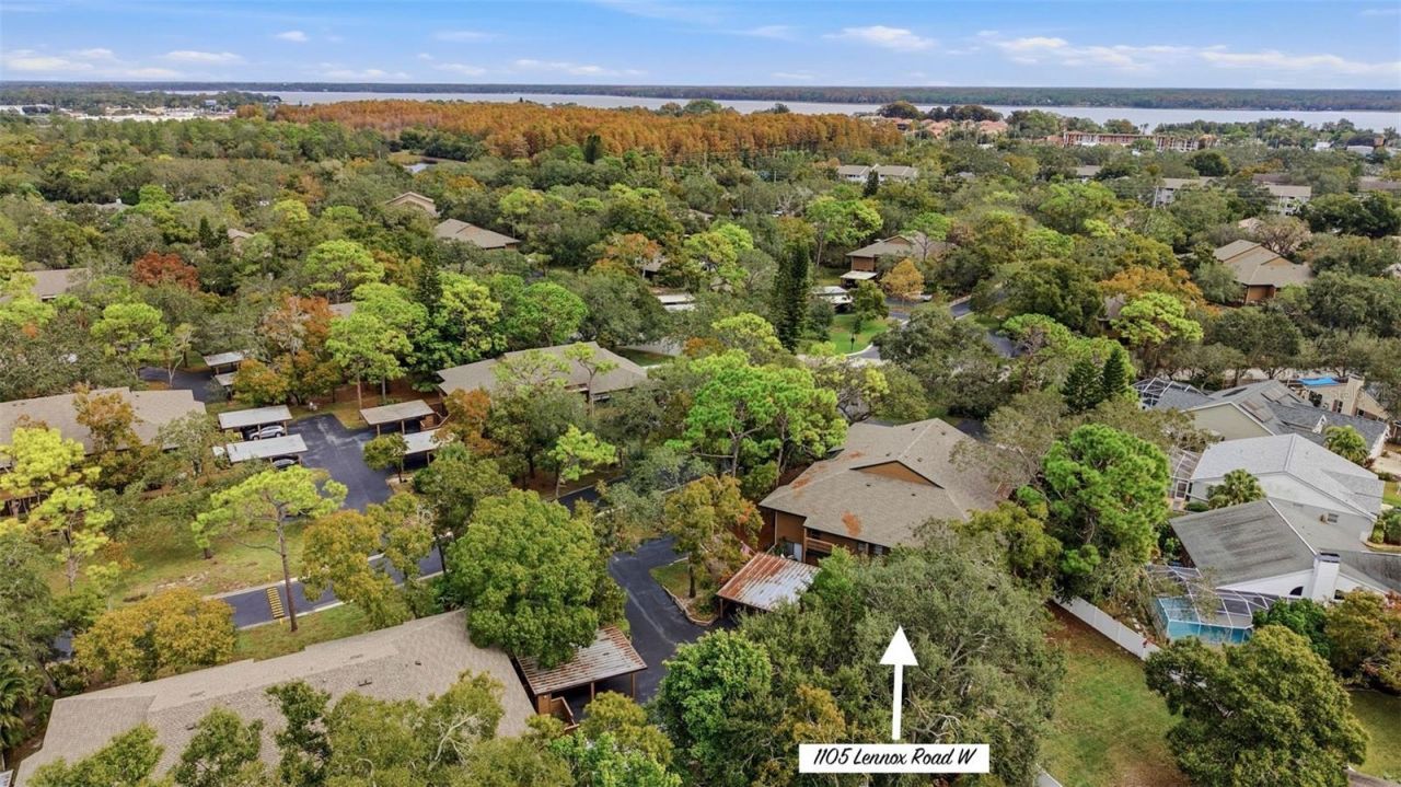 1105 Lennox Road W, Unit 1105, Palm Harbor, FL 34683 Main Photo