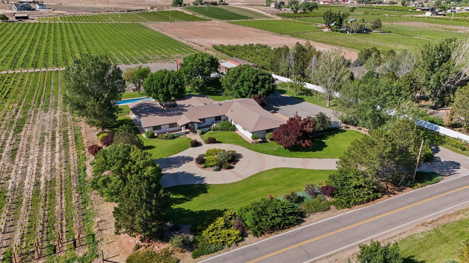 3339 C Road, Palisade, CO 81526 Main Photo