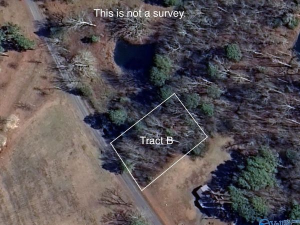 Tract B Hammonds Road, Fyffe, AL 35971
