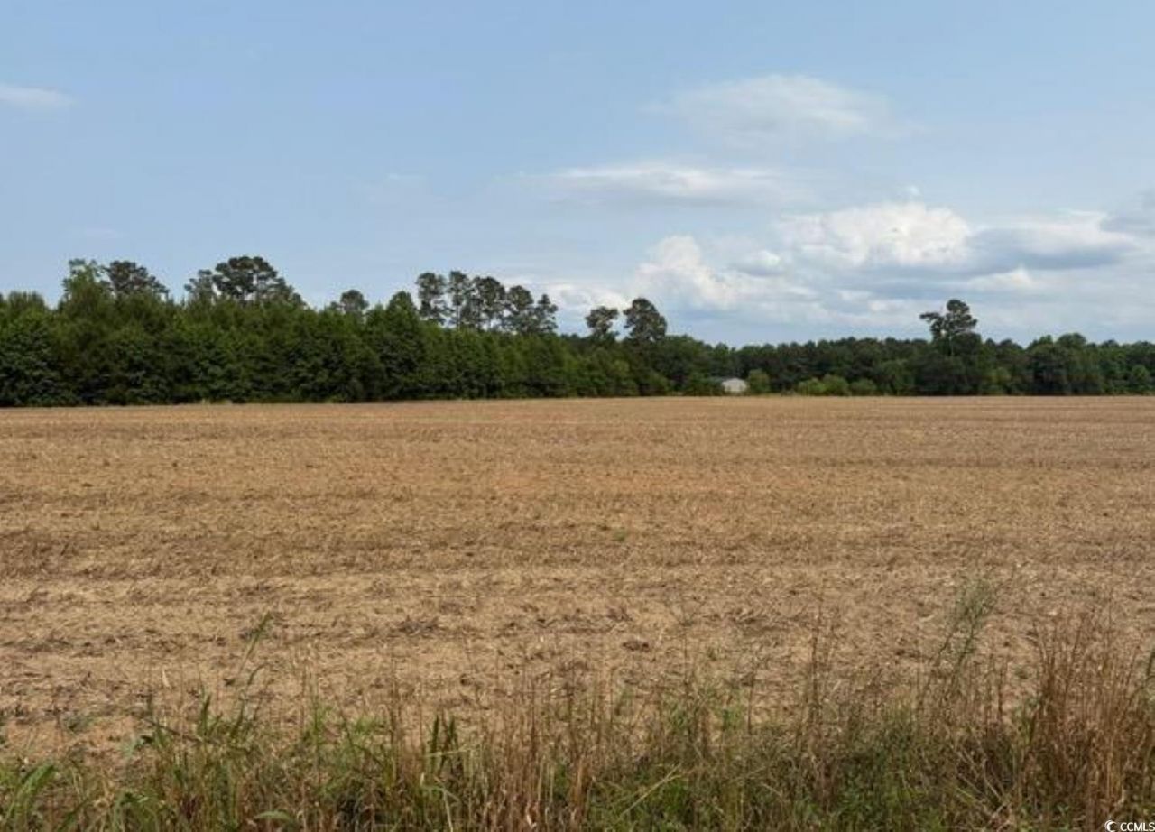 Tbd Mack Rd. Photo 4