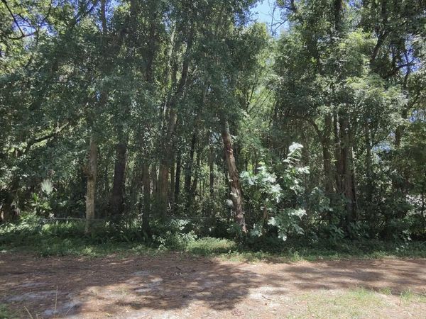 0 RIBAULT Terrace, Jacksonville, FL 32209