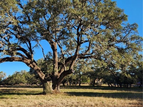 27215 Park Loop Road , New Braunfels, TX 78132