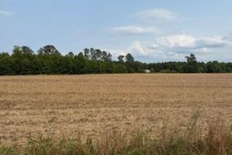 Tbd Mack Rd. photo 4