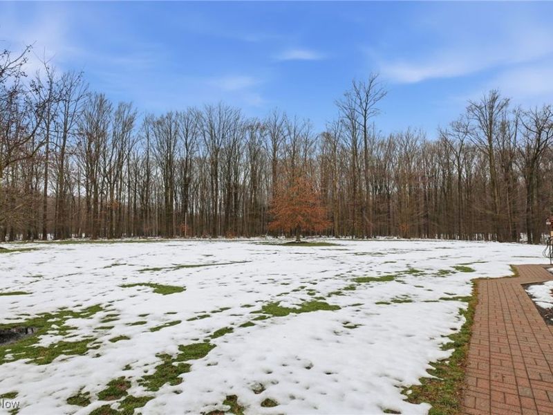 425 Woodside Avenue, Jefferson, OH 44047 Photo 46