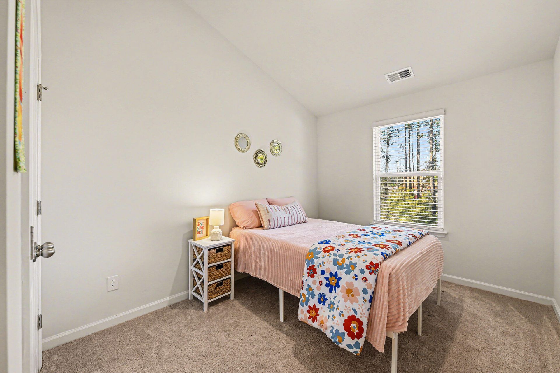 699 Hilchot Drive Photo 22