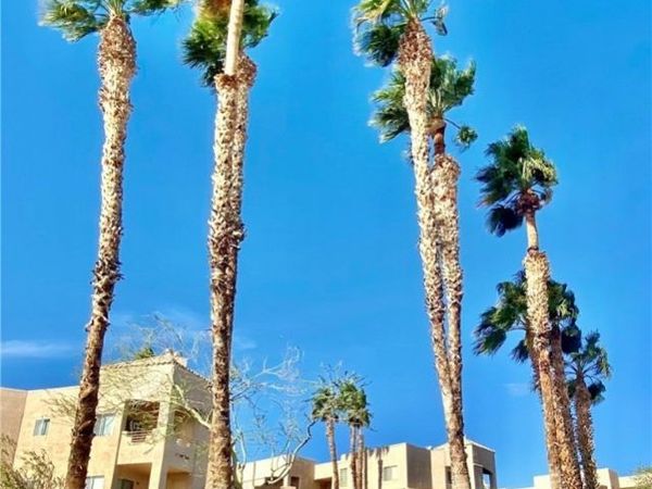 2221 Bay Club Drive , Unit 102, Laughlin, NV 89029