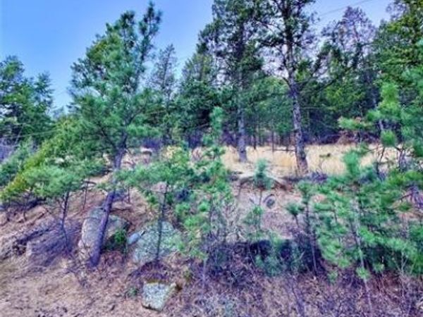 Lot 13 Harrison Street, Green Mountain Falls, CO 80819