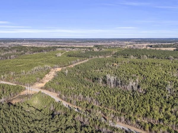 0 Young Crossing Rd, Louisville, MS 39339