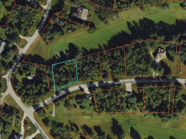 28 White Pine Drive, Cadillac, MI 49601