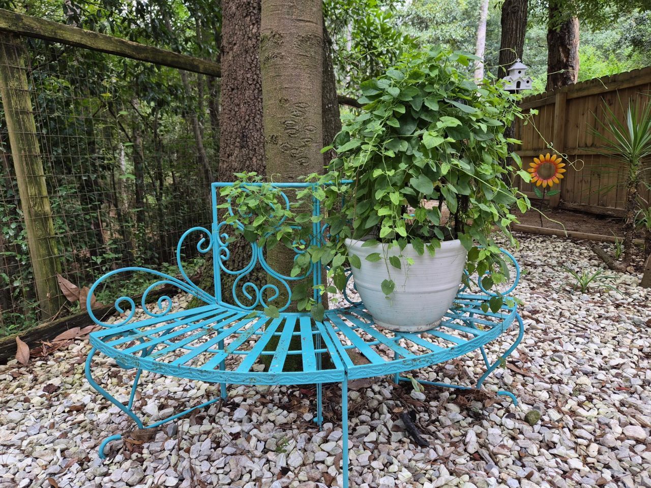 101 Dowling Avenue Photo 16