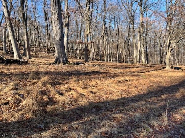 659 Mountain Ave, North Caldwell, NJ 07006