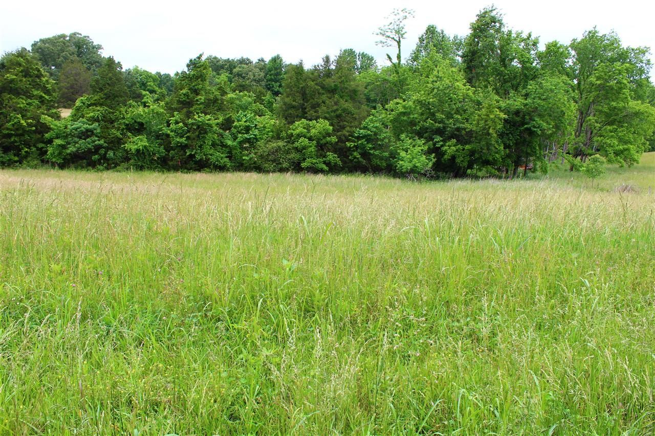 667 Calvert Road, Adolphus, KY 42120 Main Photo