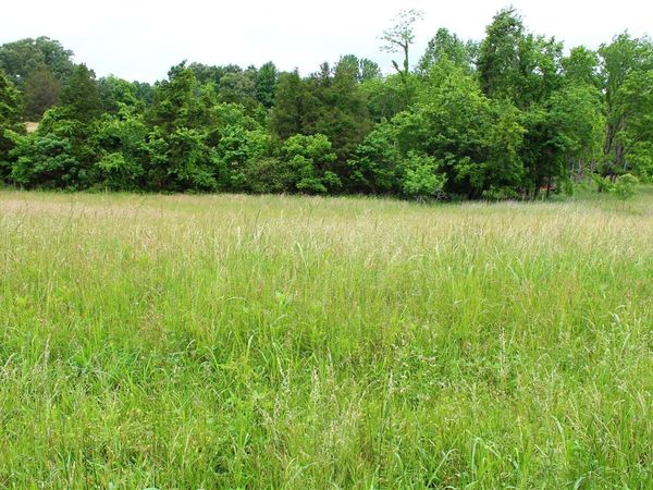 667 Calvert Road, Adolphus, KY 42120