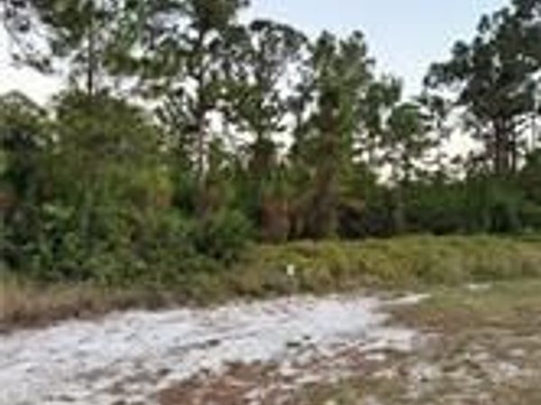 2002 Fitch AVE, ALVA, FL 33920