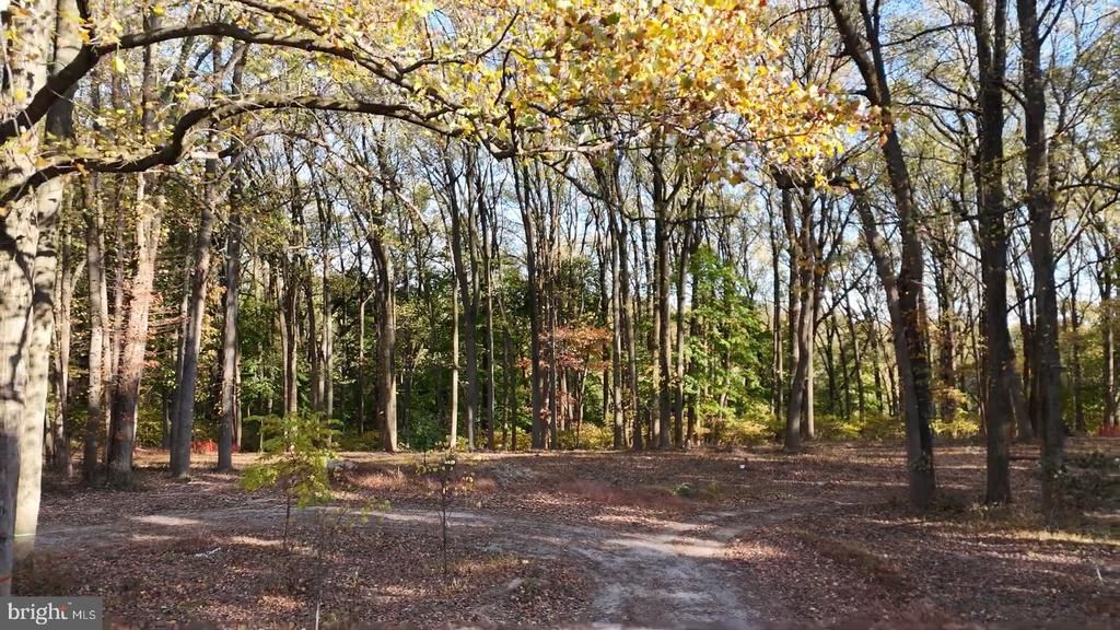 393 Port Royal Avenue, Philadelphia, PA 19128 Main Photo