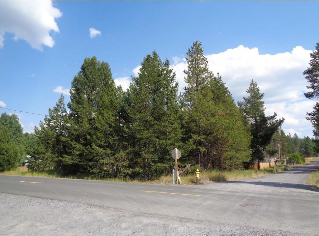 Main Street, Crescent, OR 97733 Main Photo