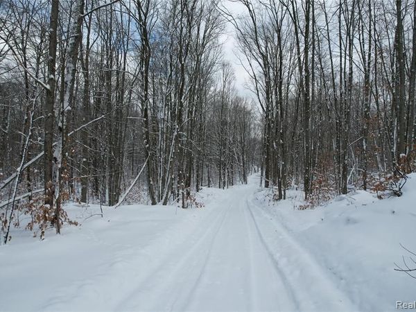 11860 E 22 3/4 Road , Cedar Creek Twp, MI 49663