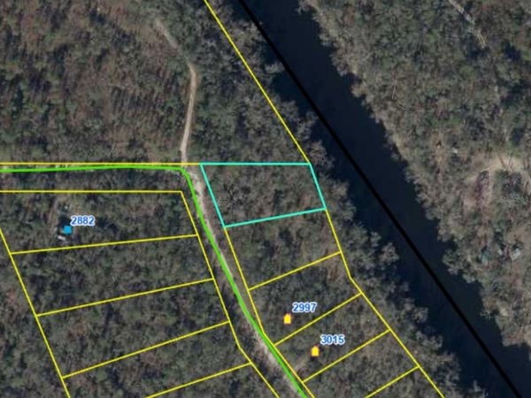 NE CHERVIL DRIVE, LEE, FL 32059