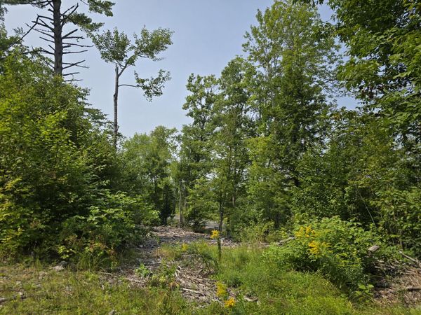 Lot7 Bear Brook Subdivision , Sebec, ME 04481