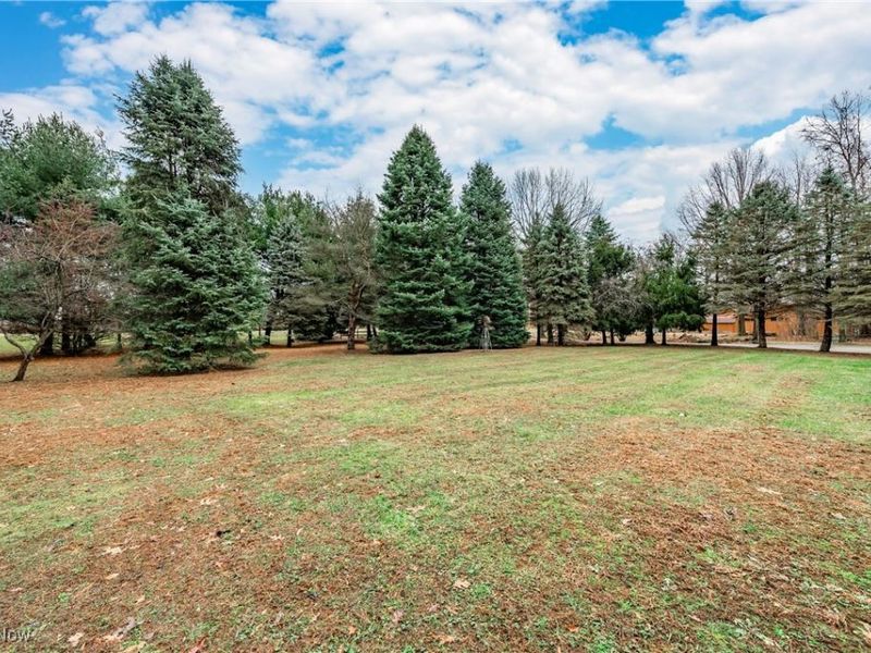 49215 Whittlesey Road, Amherst, OH 44001 Photo 43