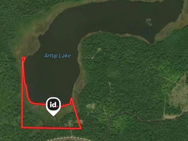 9426 Cramer Road , Finland, MN 55603