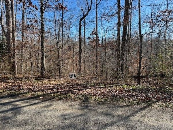 6 Slaughter Rd, Unit 6, Primm Springs, TN 38476