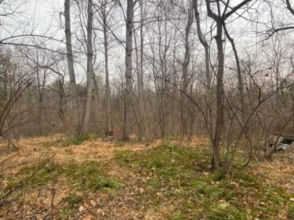 0 SETTLE SCHOOL ROAD, RIXEYVILLE, VA 22737