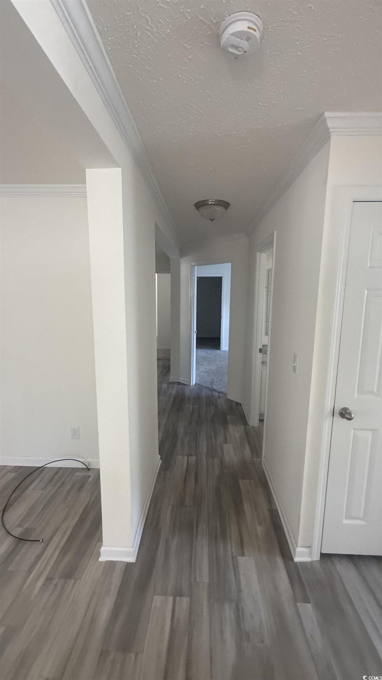 2949 Clemson Trail Photo 18
