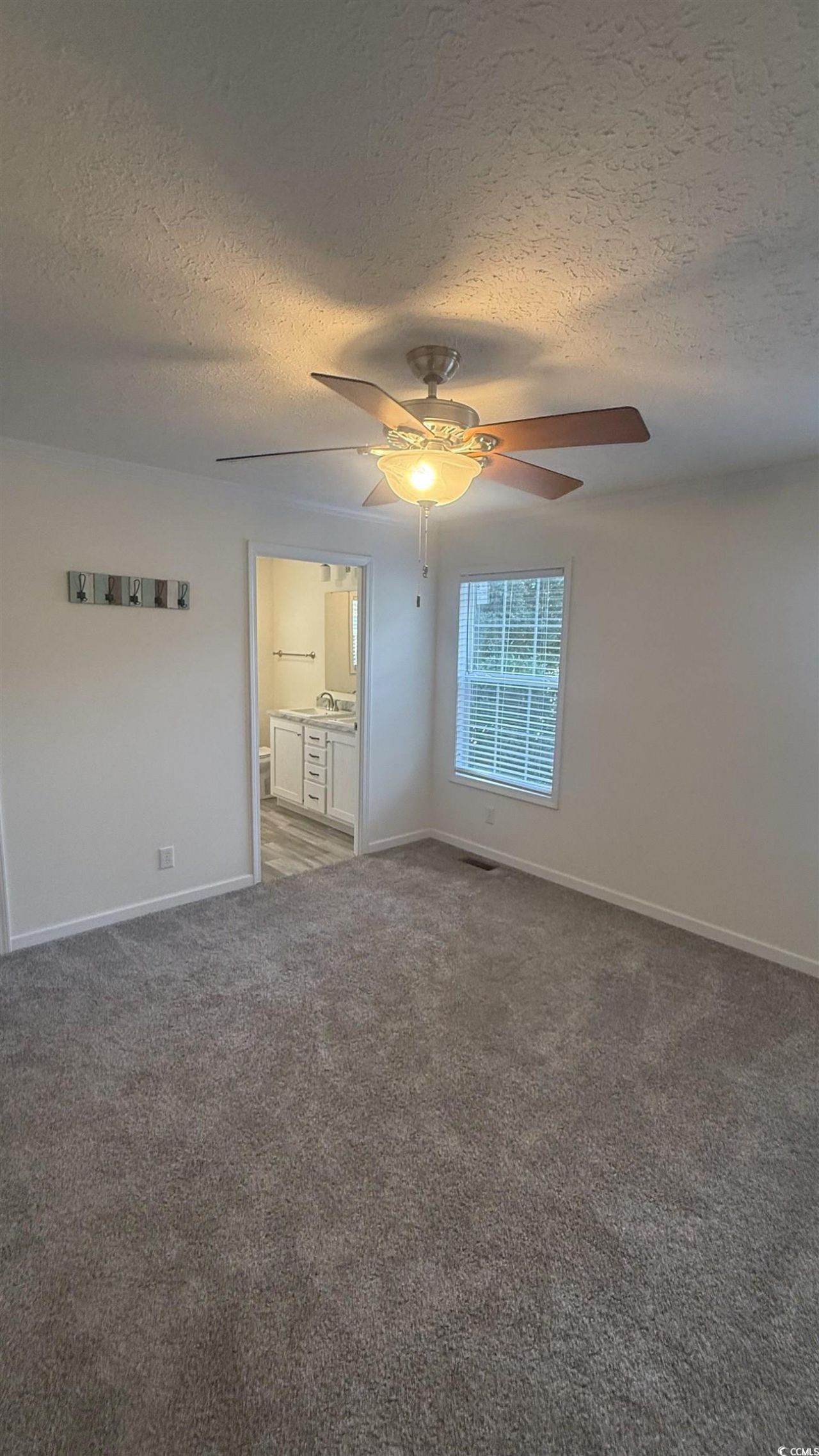 2949 Clemson Trail Photo 23