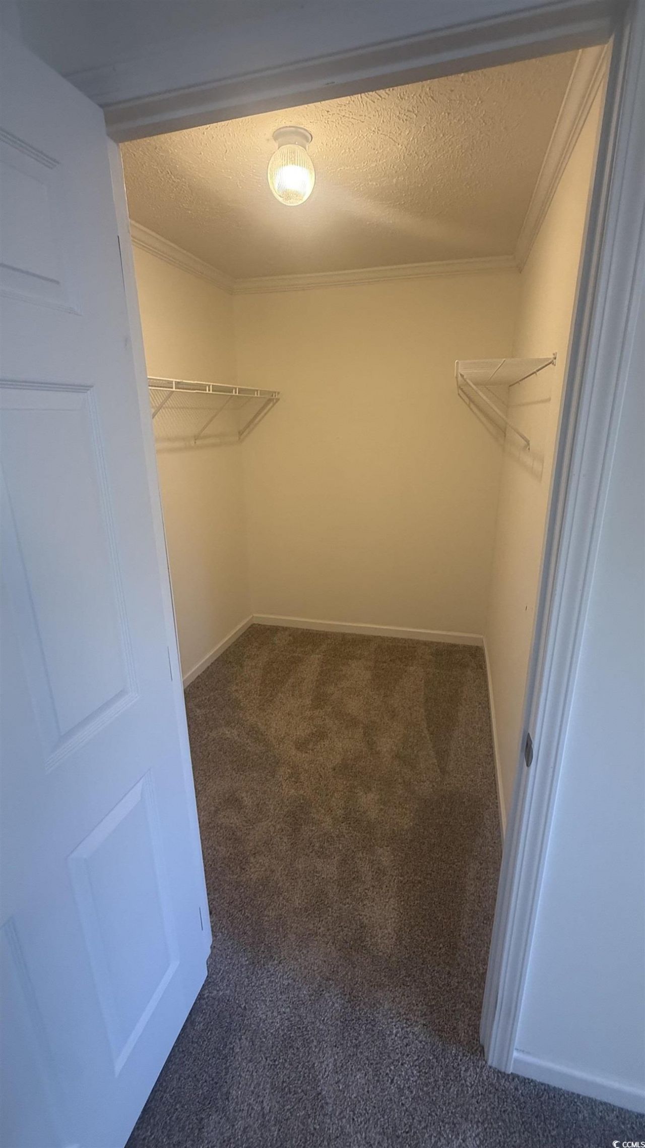 2949 Clemson Trail Photo 24