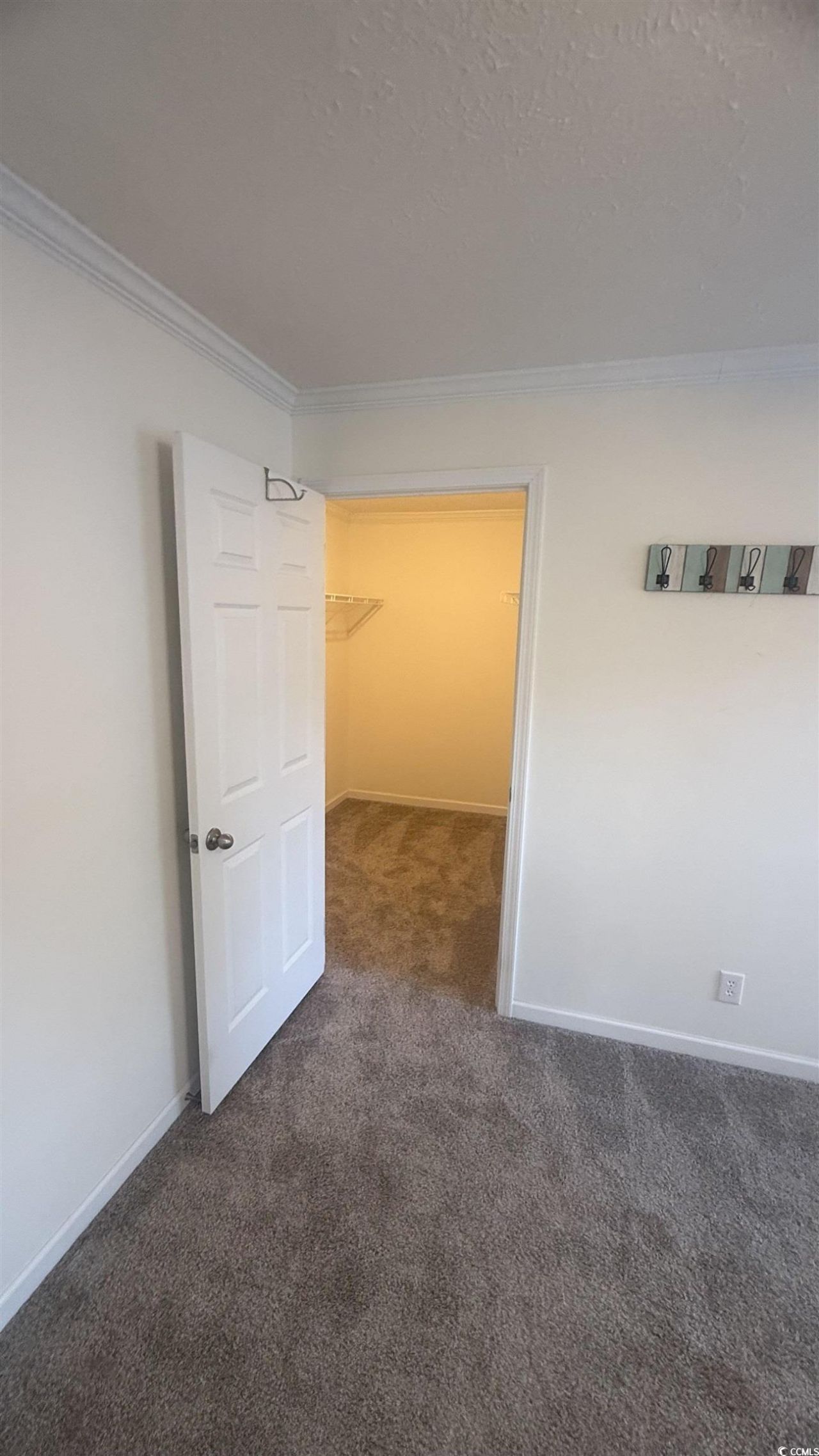 2949 Clemson Trail Photo 29