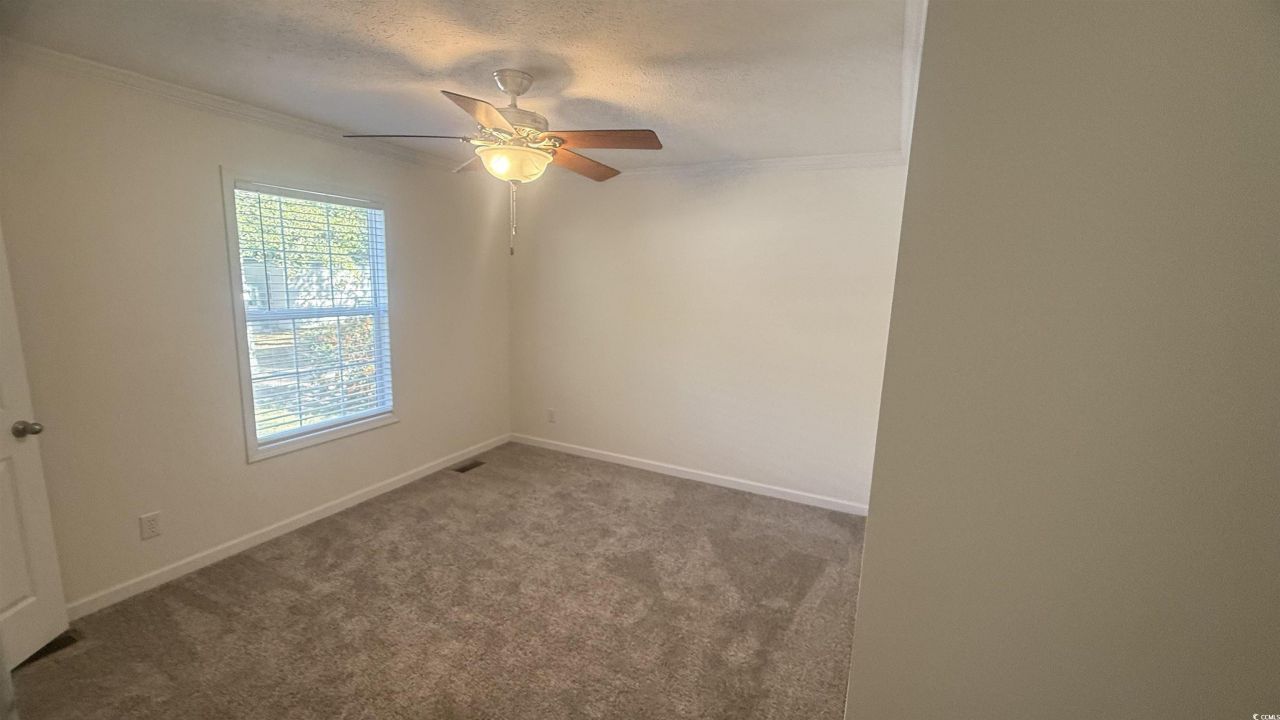2949 Clemson Trail Photo 31