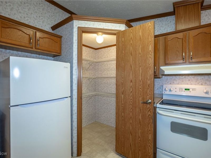 1 Tympani Trail, Olmsted Township, OH 44138 Photo 14