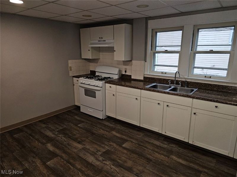 1098 Big Falls Avenue, Akron, OH 44310 Photo 2