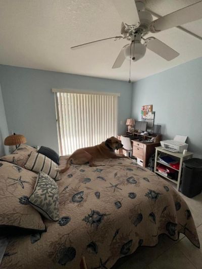 161 Saxony D, Delray Beach, FL 33446 Photo
