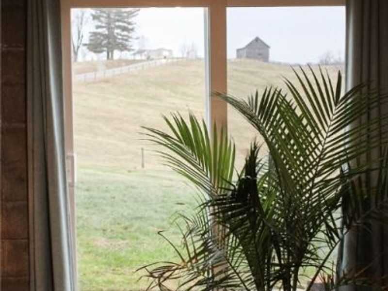 2242 S Mccoy Ridge Road, Stockport, OH 43787 Photo 22