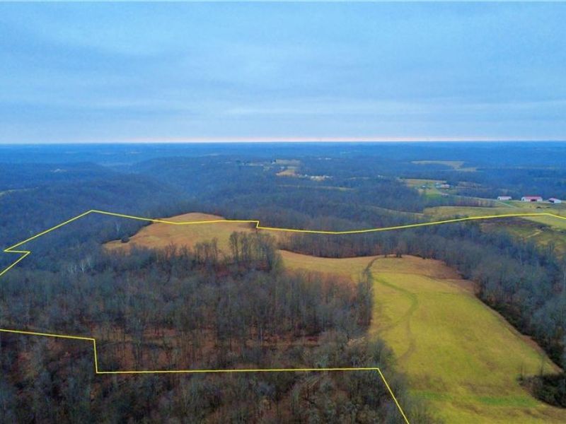 2242 S Mccoy Ridge Road, Stockport, OH 43787 Photo 29