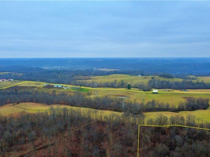 2242 S Mccoy Ridge Road, Stockport, OH 43787 Photo 30