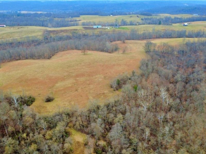 2242 S Mccoy Ridge Road, Stockport, OH 43787 Photo 31