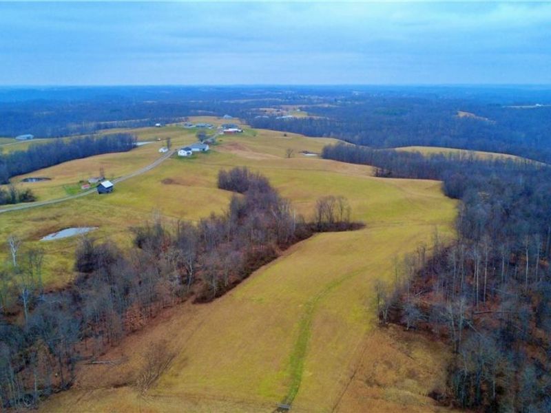 2242 S Mccoy Ridge Road, Stockport, OH 43787 Photo 33