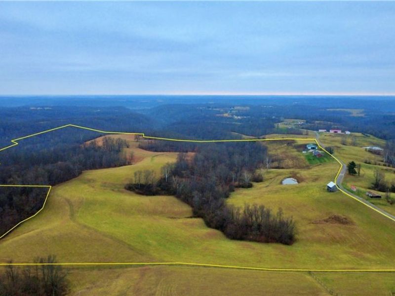 2242 S Mccoy Ridge Road, Stockport, OH 43787 Photo 34