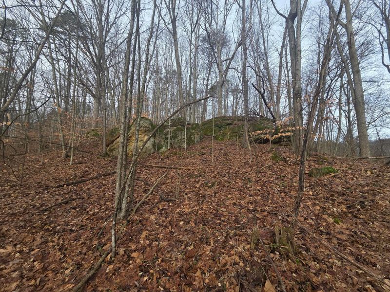 12001 W Buck Run, Rockbridge, OH 43149 Photo 1