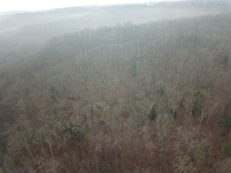 12001 W Buck Run, Rockbridge, OH 43149 Photo 10