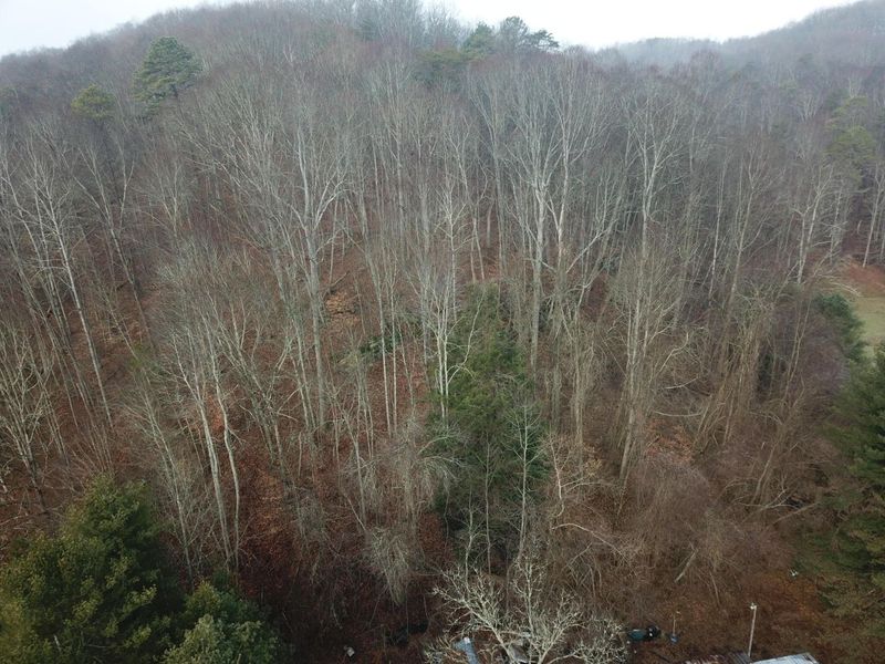 12001 W Buck Run, Rockbridge, OH 43149 Photo 3