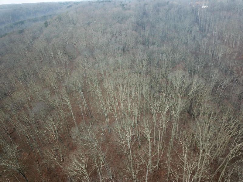 12001 W Buck Run, Rockbridge, OH 43149 Photo 6