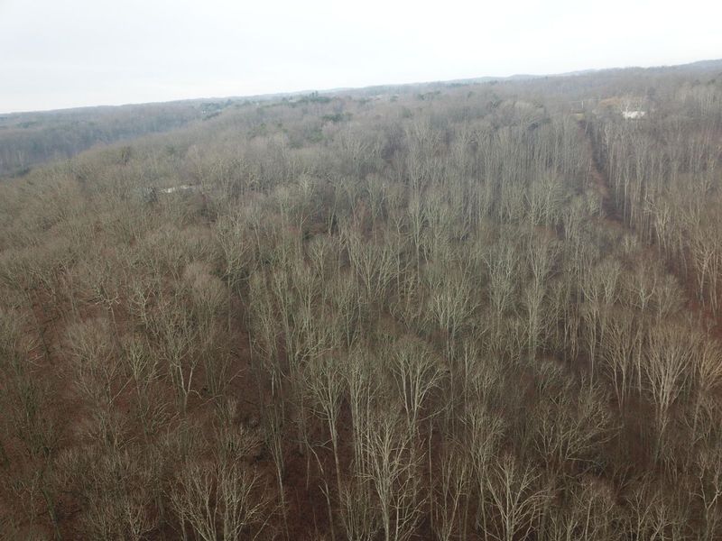 12001 W Buck Run, Rockbridge, OH 43149 Photo 7