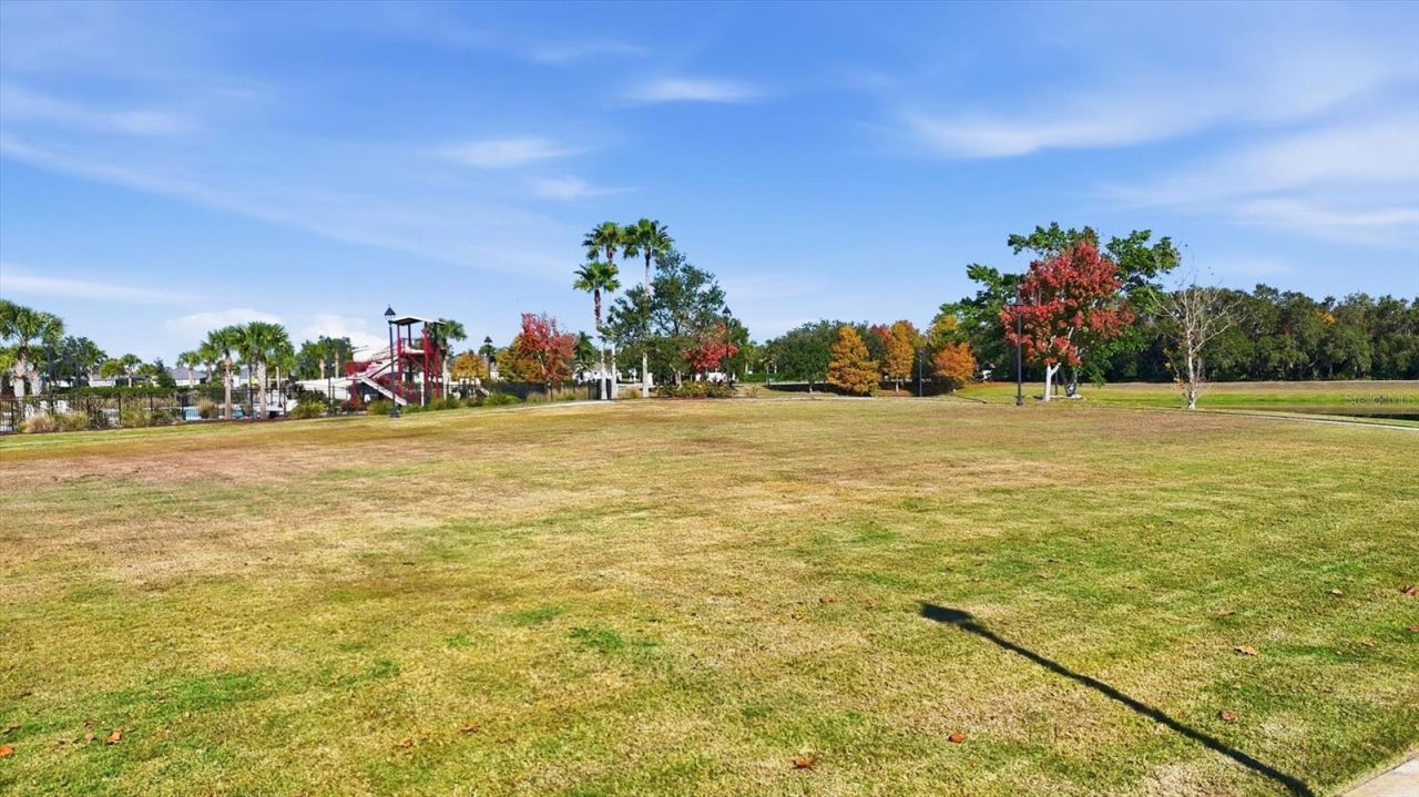 3712 Creekside Park Drive, Parrish, FL 34219 Photo