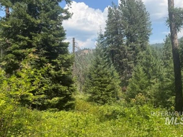 TBD Tbd, Council, ID 83612