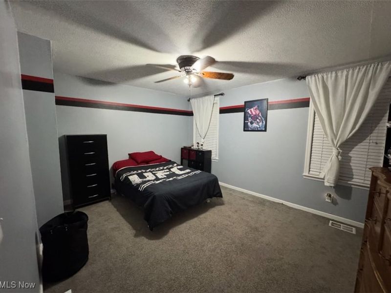 135 Wheeling Avenue, Wellington, OH 44090 Photo 16