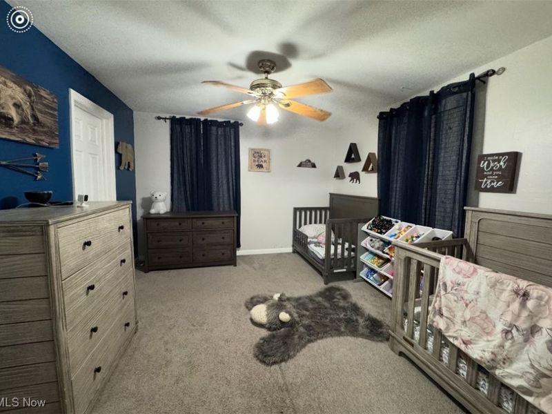 135 Wheeling Avenue, Wellington, OH 44090 Photo 19